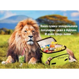 Cумки-холодильники 